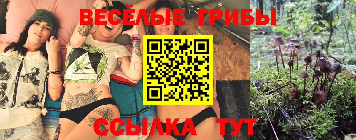 Псилоцибиновые грибы ЛСД Чебаркуль